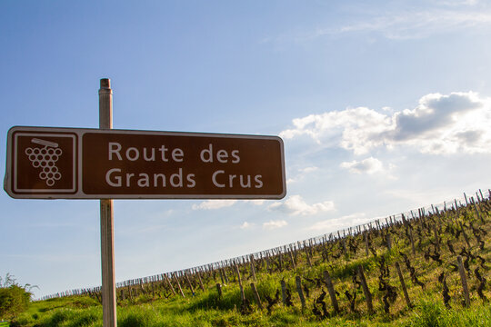 route des grands crus